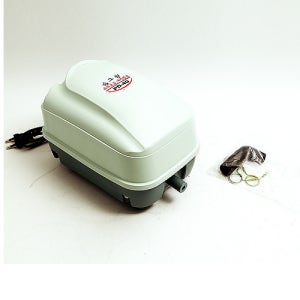 필그린 브로와 PD-40 [22W]