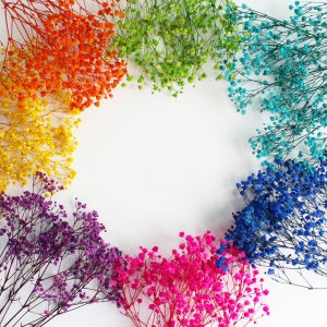 프리저브드플라워 안개꽃 소량 말린 안개 드라이플라워