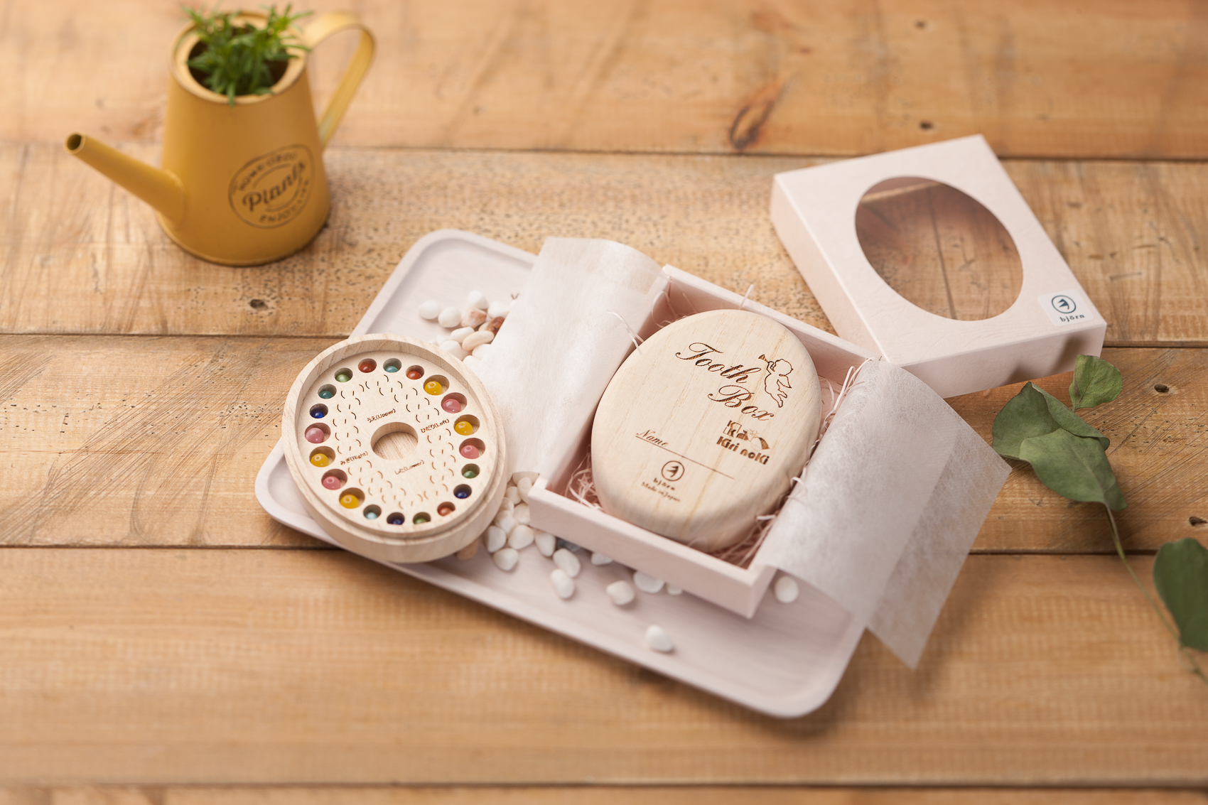 일본 키리노키 유치보관함 (천사/고슴도치)