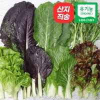 친환경 유기농 모듬 쌈채소 1kg 600g 당일수확 산지직송 샐러드채소 쌈야채