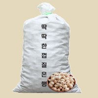 피은행(중)20kg