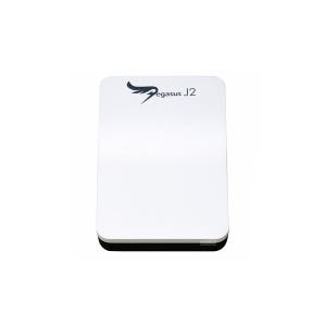 Pegasus J2 512GB 6G mSATA SSD 썬더볼트 RAID 0 1 JBOD 외장형 스토리지