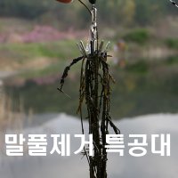 [미스터붕어]청수레져 말풀제거 수초갈퀴 특공대