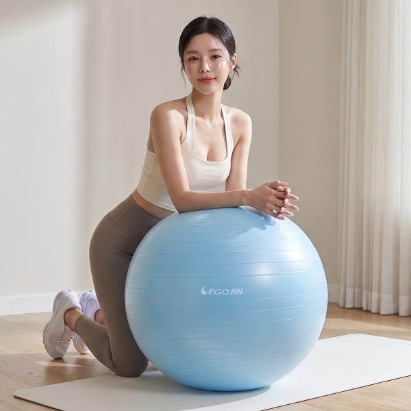 이고진 짐볼 65cm 요가 필라테스 임산부 운동 스트레칭 안티버스트 밸런스 볼 홈트 실내