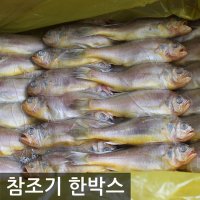 [노량진수산시장] 참조기(4KG)(70마리)-1박스/특급배송/조기/부서/굴비/참조기