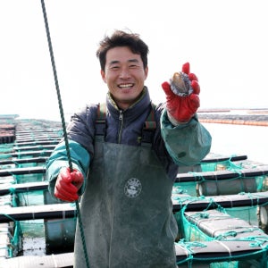 국내산 완도 활전복 1kg