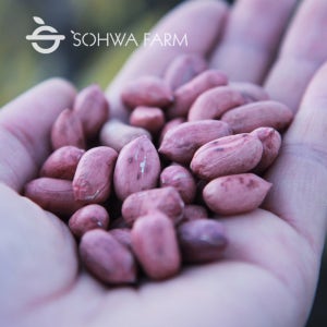 2025년 국산 햇 볶은땅콩 500g 볶음땅콩