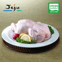 무항생제 제주닭(냉장) 백숙용 8호 2마리 총 1.6kg