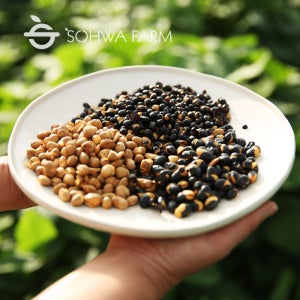 뻥트리오 500g 흰콩 쥐눈이콩 검은콩볶음