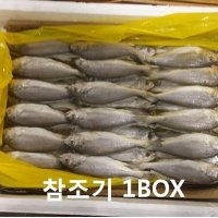 [노량진수산시장] 참조기(4KG)(60마리)-1박스/특급배송/조기/부서/굴비/참조기