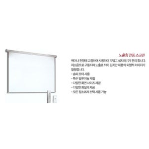 120인치/240x180/K매트/전동식/노출형/국산원단(240x180(120) 전동 노출)