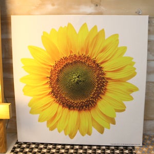 풍수 인테리어 소품 해바라기 그림 캔버스 액자 50x50cm