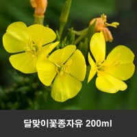 [영국산] 달맞이꽃종자유 오일 200ml (Evening primrose oil)