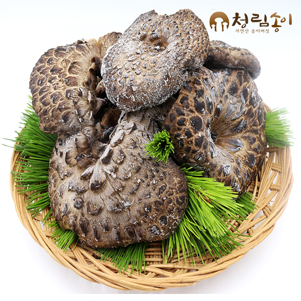 자연산 송이버섯/1kg/냉동(청림송이)