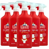 홈스타 뿌리기만하면 곰팡이싹 750ml / 스프레이 곰팡이 제거제