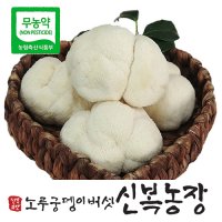 [산지직송]생노루궁뎅이버섯500g/부안변산반도 신복농장/무농약버섯