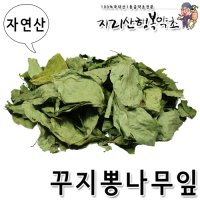 자연산 구지뽕나무잎 300g,효능/효과/차/먹는방법/말린