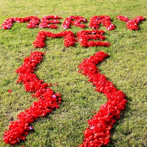 장미듬뿍 메리미이벤트셋트,특별한 결혼프로포즈 깜짝이벤트소품 100일 연인고백 생일풍선장식 홈파티용품 남자여자친구 감동행사전문