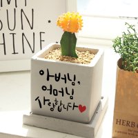 상견례 선물 캘리그라피 미니화분