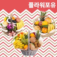 과일바구니 출산 병문안 문병 집들이 선물 예단 이바지 당일배송