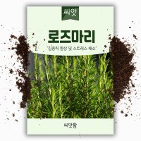 로즈마리 씨앗 30립 허브 종자 씨