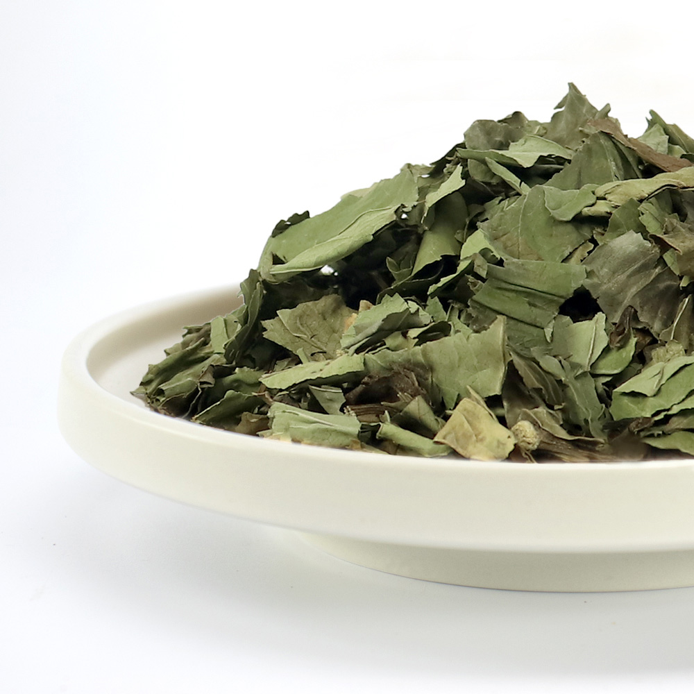 삼백초 국내산 300g