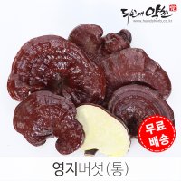 영지버섯(통) 국내산 500g