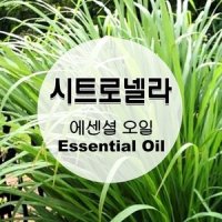 에센셜오일-시트로넬라(Citronella) E.O