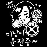 자동차스티커_미남이 운전중