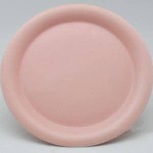 [디시위시] 다비타 도자기 원형 접시 무광 전사인쇄 도자기인쇄 홈카페 카페용 예쁜 플레이트 원형 접시