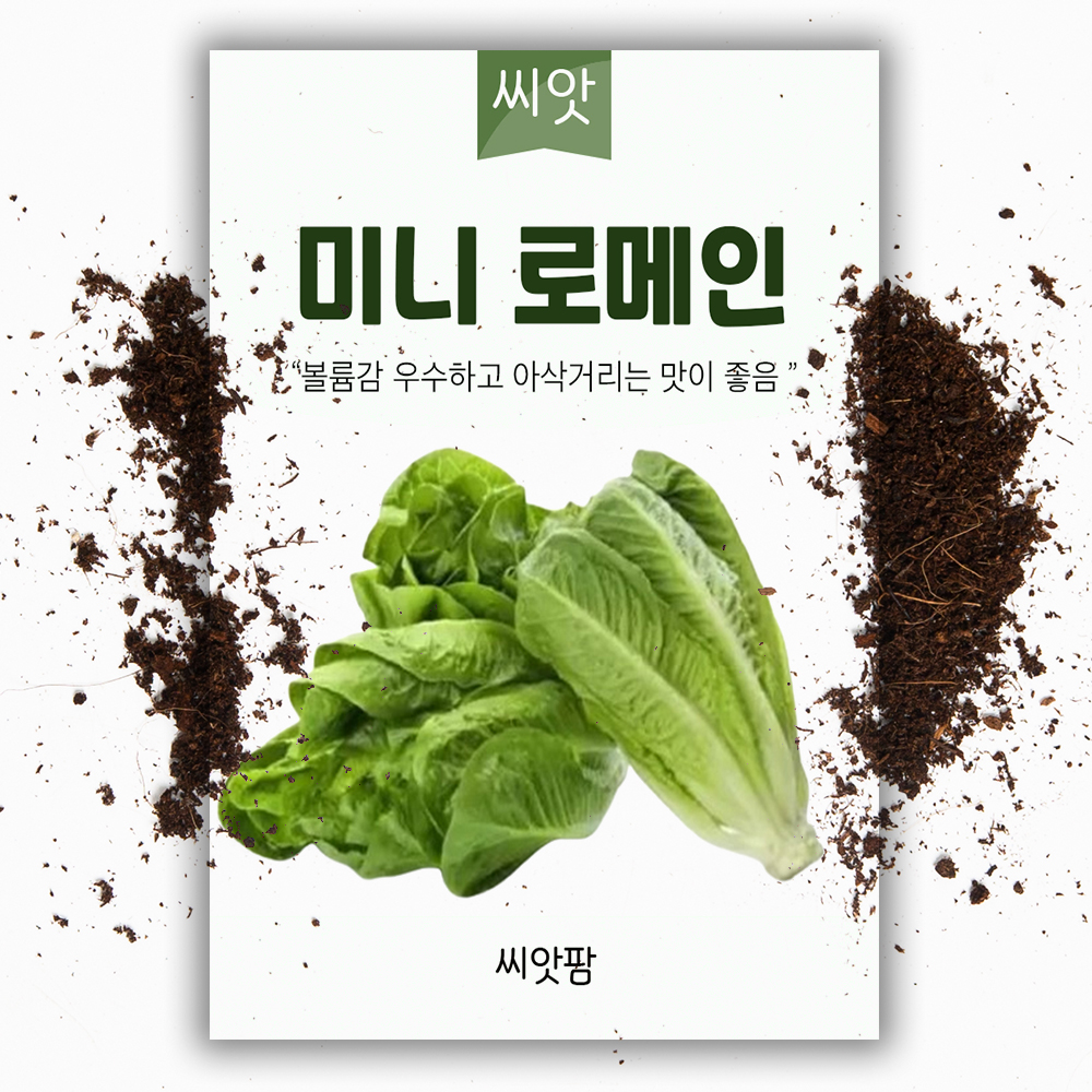 미니 로메인상추 씨앗 100립 코팅종자 유럽상추 쌈채소 종자