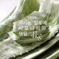 [무료배송]유기농 알로에 사포나리아 4kg/알로에 생잎/맛있는 알로에