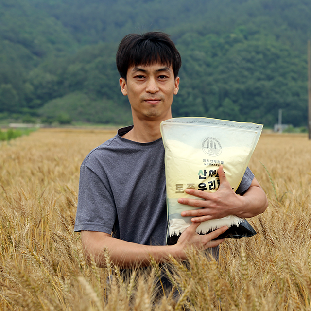 유기농 우리밀가루 백밀 통밀 1kg 국산100% 산아래우리밀